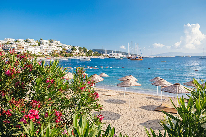 Bodrum, Said Limanı, Süveyş Kanalı, Sharm-el Şeyh, Cidde